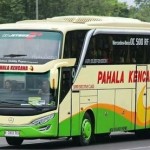 Bus Pahala